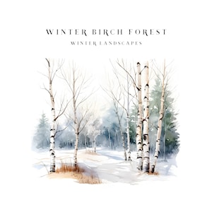 Clipart de aquarela de floresta de bétulas de inverno Árvores de bétula Paisagens e buquês florais Papel digital Baixar gráficos de casamento para impressão de Natal