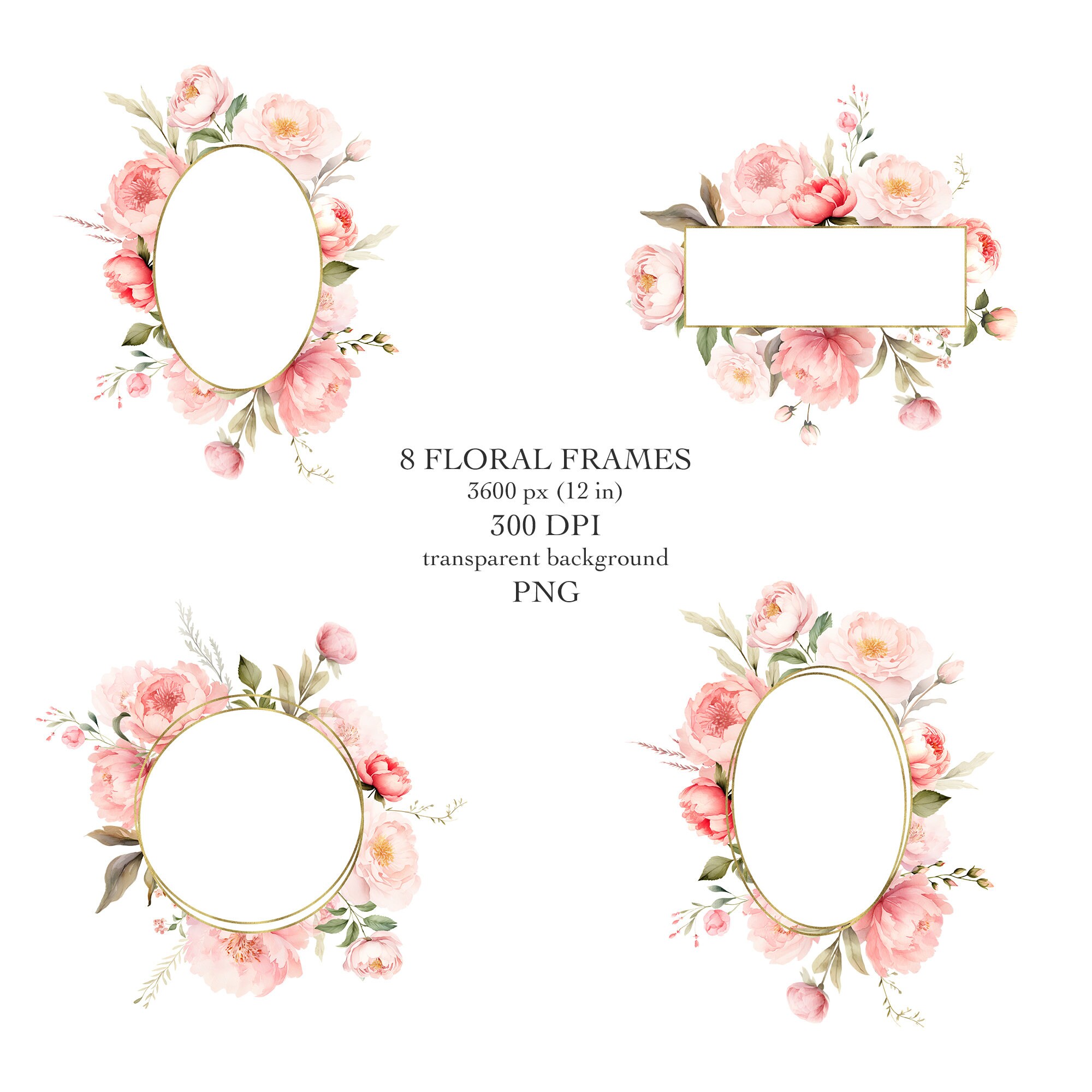 Blush Pink Floral Clipart Watercolor Peonies & Gold Frames Collection ...