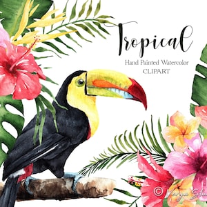 Watercolor Tropical Clipart Summer Floral Clip Art Toucan Bird Hibiscus Monstera Leaves Palm Frangipani Hawaii Summer Beach Wedding Flowers