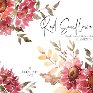Clipart di girasoli bordeaux Clipart floreale ad acquerello Foglie autunnali Clipart di nozze Vino estivo Girasole rosso Ringraziamento Raccolto PNG