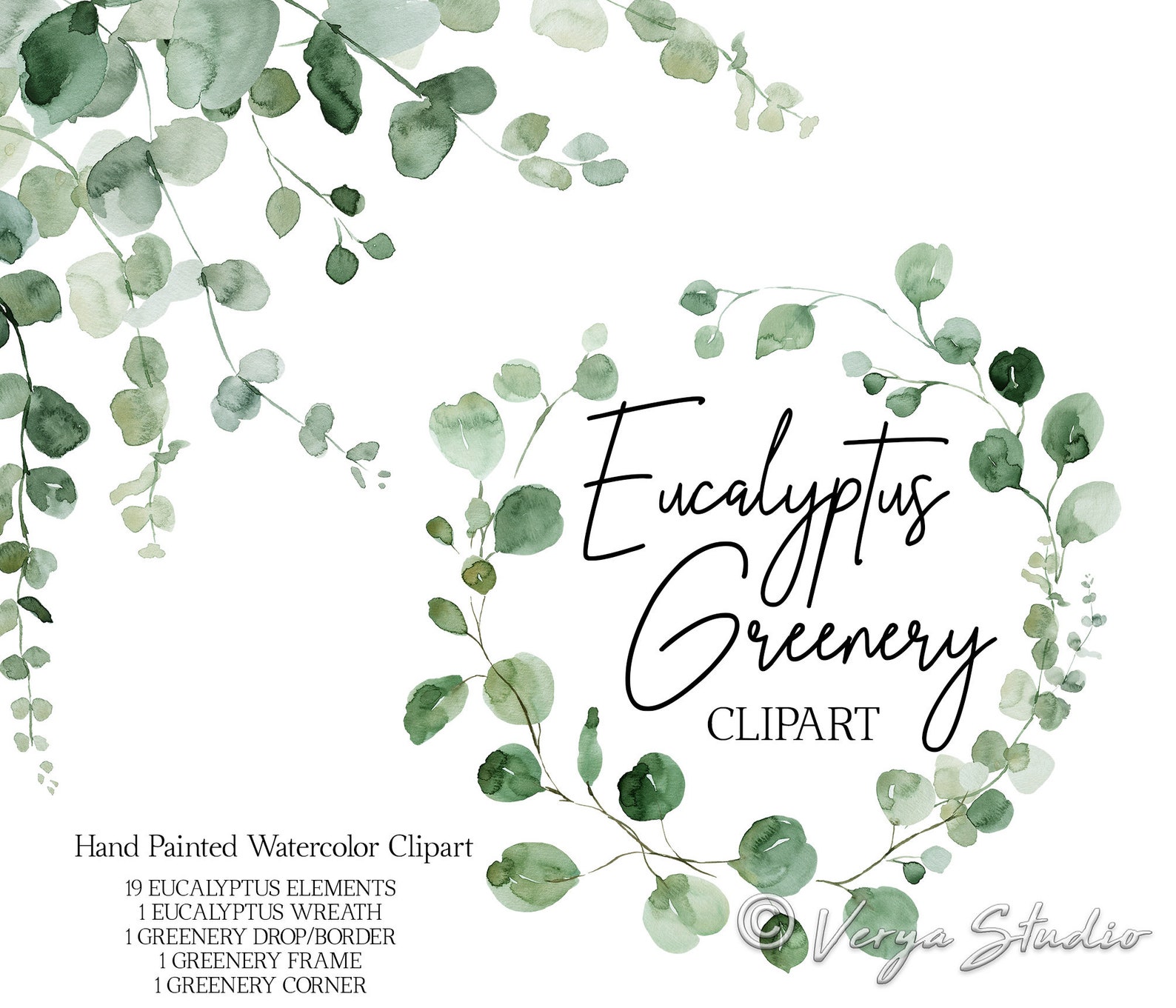 Greenery Clipart Watercolor Eucalyptus Clip Art Green Foliage Frames ...