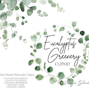 Clipart di vegetazione, acquerello, eucalipto, clipart, cornici di fogliame verde, foglie, clipart di nozze, ghirlanda, bordo, goccia, grafica, rustico, bosco, PNG