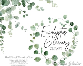 Verdure Clipart Aquarelle Eucalyptus Clip Art Vert Feuillage Cadres Feuilles Mariage Clipart Couronne Bordure Drop Graphiques Bois Rustique PNG