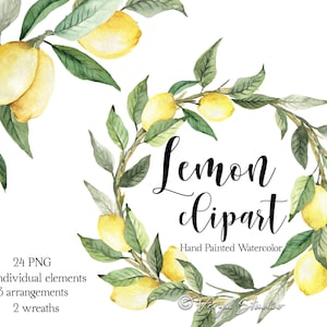 Aquarell Zitrone Clipart Zitronen Clip Art Gelb Sommer Früchte Hochzeit Clipart Einladungen Brautvorlage Zitronenkranz Zitrusblumenstrauß PNG