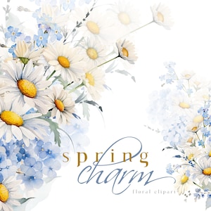 Margherite ortensia acquerello primavera floreale clipart bianco blu fiori clip art ti scordar di me non blu mazzi di fiori illustrazioni matrimonio PNG