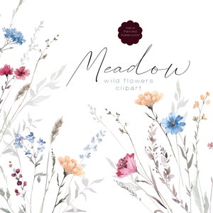 Pequenas flores silvestres clipart, clipart de campo floral, buquês de flores de prado em aquarela, flor em aquarela PNG, buquês de flores silvestres, verão PNG