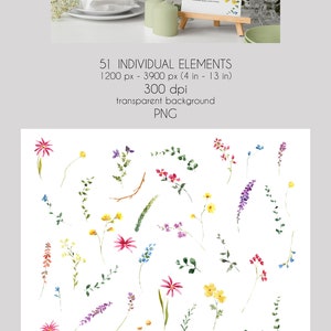 May include: 51 individual watercolor floral elements, including pink, yellow, red, blue, and purple flowers, green leaves, and branches. The elements are on a transparent background. The image is 1200 pixels by 3900 pixels and 300 dpi.