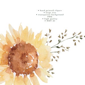 Sunflowers Clipart, Watercolor Fall Floral Clip Art, Yellow Flowers PNG, Summer Autumn PNG, 42 Botanical Elements Bundle image 6