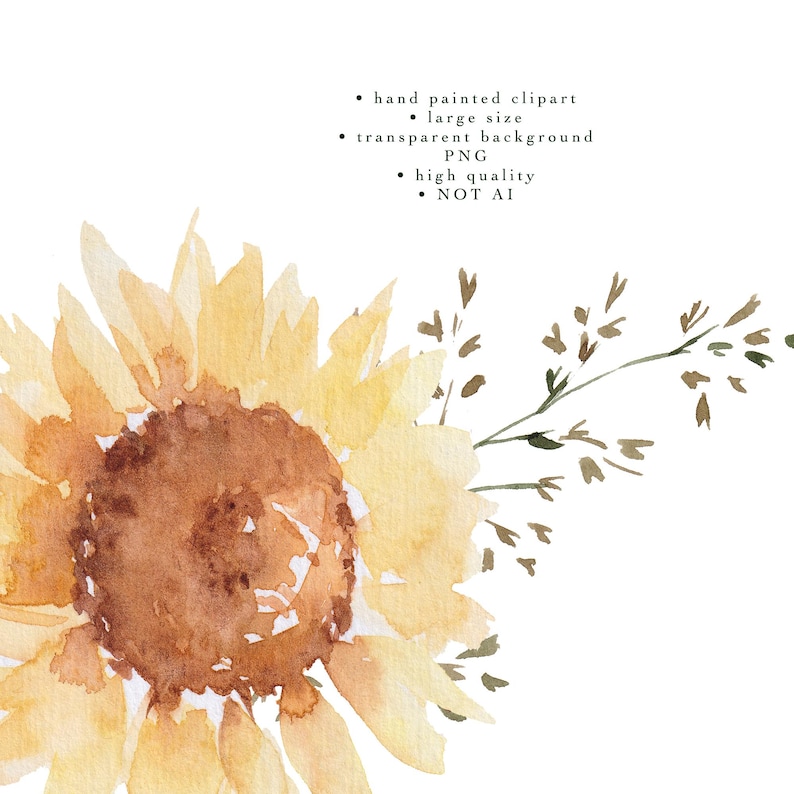 Sunflowers Clipart, Watercolor Fall Floral Clip Art, Yellow Flowers PNG, Summer Autumn PNG, 42 Botanical Elements Bundle image 6