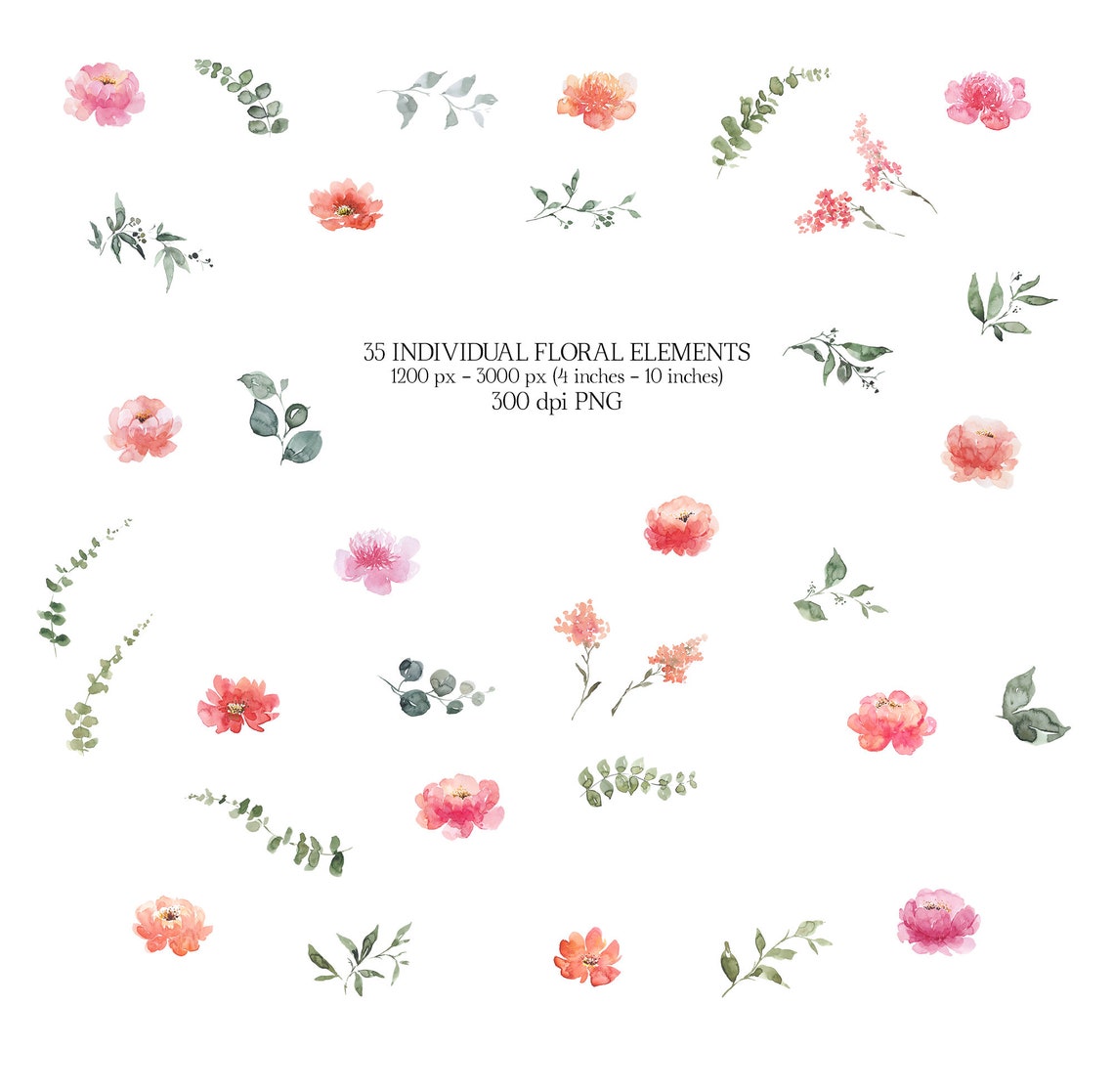 Watercolor Floral Clipart Peach Coral Pink Flowers Peonies Clip Art ...