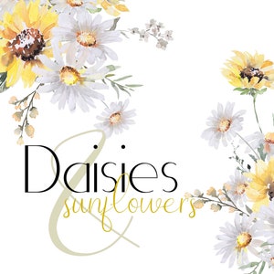 Clipart marguerites et tournesols aquarelle floral clipart Marguerite blanche printemps été automne mariage graphiques bouquets fleurs sauvages jaunes