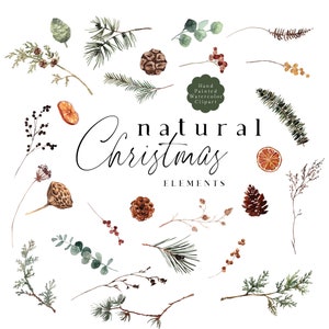 Clipart de Natal Natural, Clipart de Aquarela de Natal, PNG de Verdura de Inverno, Vagem de Lótus de Cedro e Pinheiro, PNG Botânico de Natal
