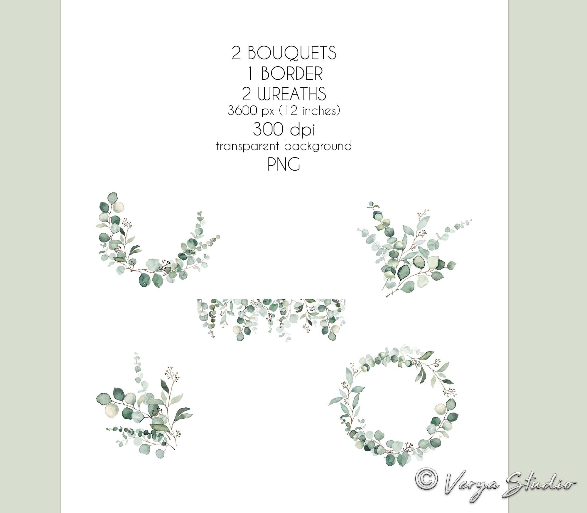 Greenery Clipart Eucalyptus Clip Art Watercolor Foliage Clipart Green ...