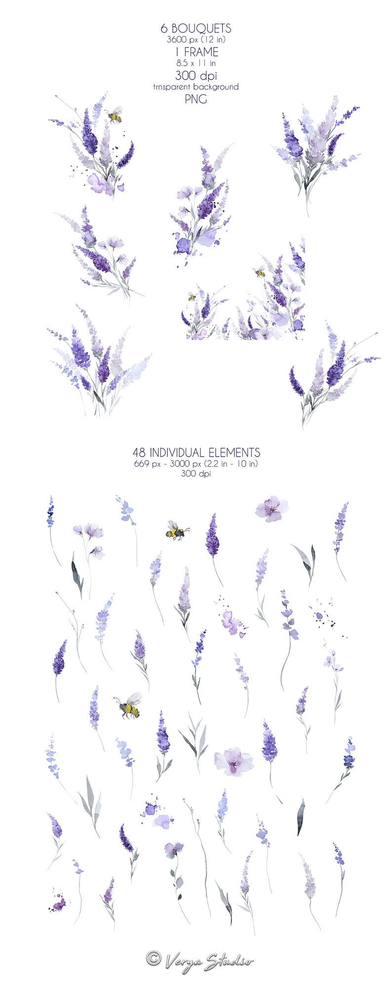 Pu&ograve; includere: Illustrazione ad acquerello di fiori di lavanda e api. L'illustrazione comprende sei mazzi di fiori di lavanda e 48 elementi individuali, tra cui api, fiori e foglie. L'illustrazione &egrave; su uno sfondo bianco.