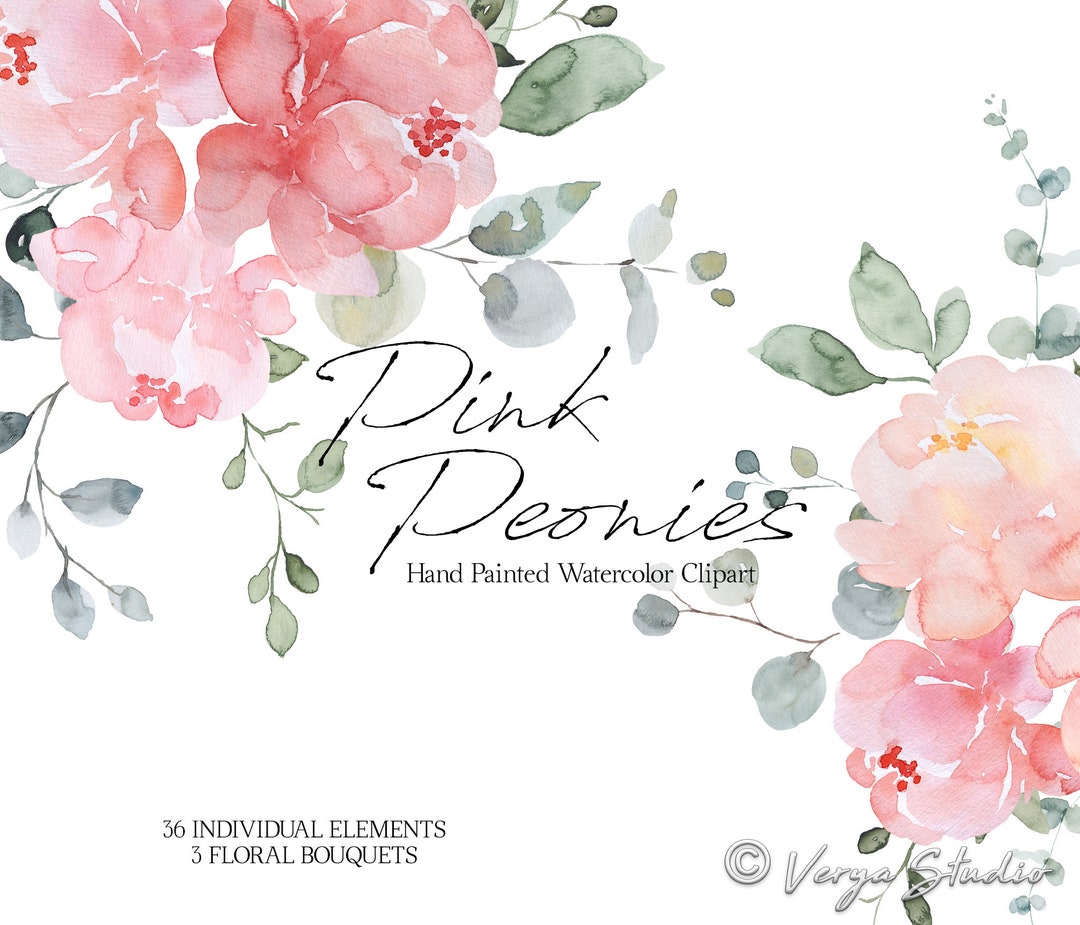 Pink Peonies Watercolor Flowers Clipart Blush Coral Floral Clip Art ...