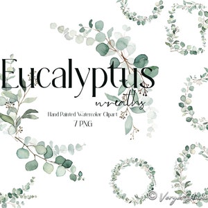 Silber Dollar Eukalyptus Greenery Kränze Clipart Aquarell Baby Blau Kranz Clip Art Grüne Blätter Laub Botanische Rahmen Girlande PNG