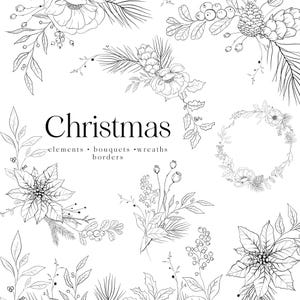 Kerst botanische lineart clipart winter bloemen lijntekeningen potlood tekening kerstster dennen bloemen bladeren minimalistische randen kransen png