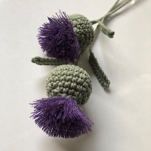 Handmade Scottish Thistles with Crocheted Leaves