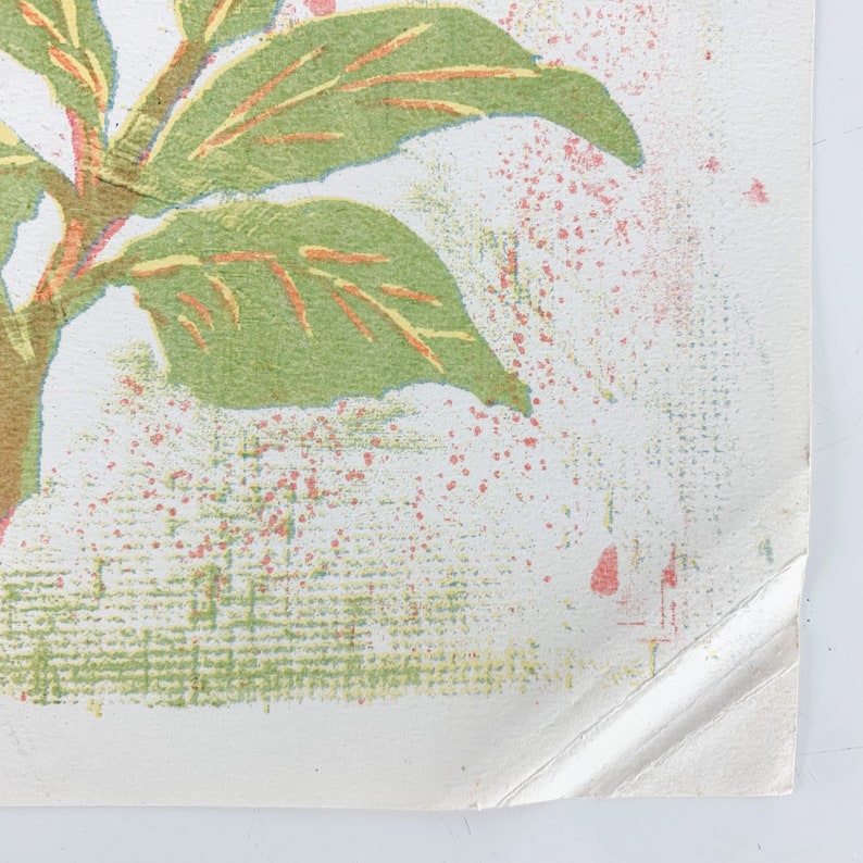 May include: A vintage botanical illustration featuring a green plant with orange veins and yellow accents against a white background with red and yellow dots.