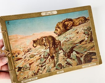 Rare Antique Kinney Bros Tobacco Book Natural History No 5 Library Cigarettes, vintage advertising, vintage tobacciana