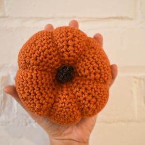 Medium Single Decorative Pumpkin