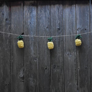 Pineapple garland image 4