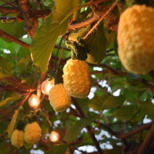 Pineapple garland image 2