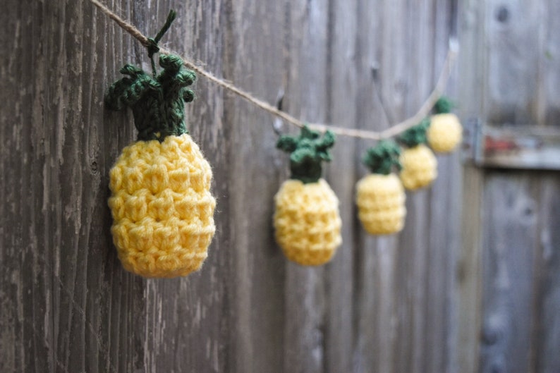 Pineapple garland image 1