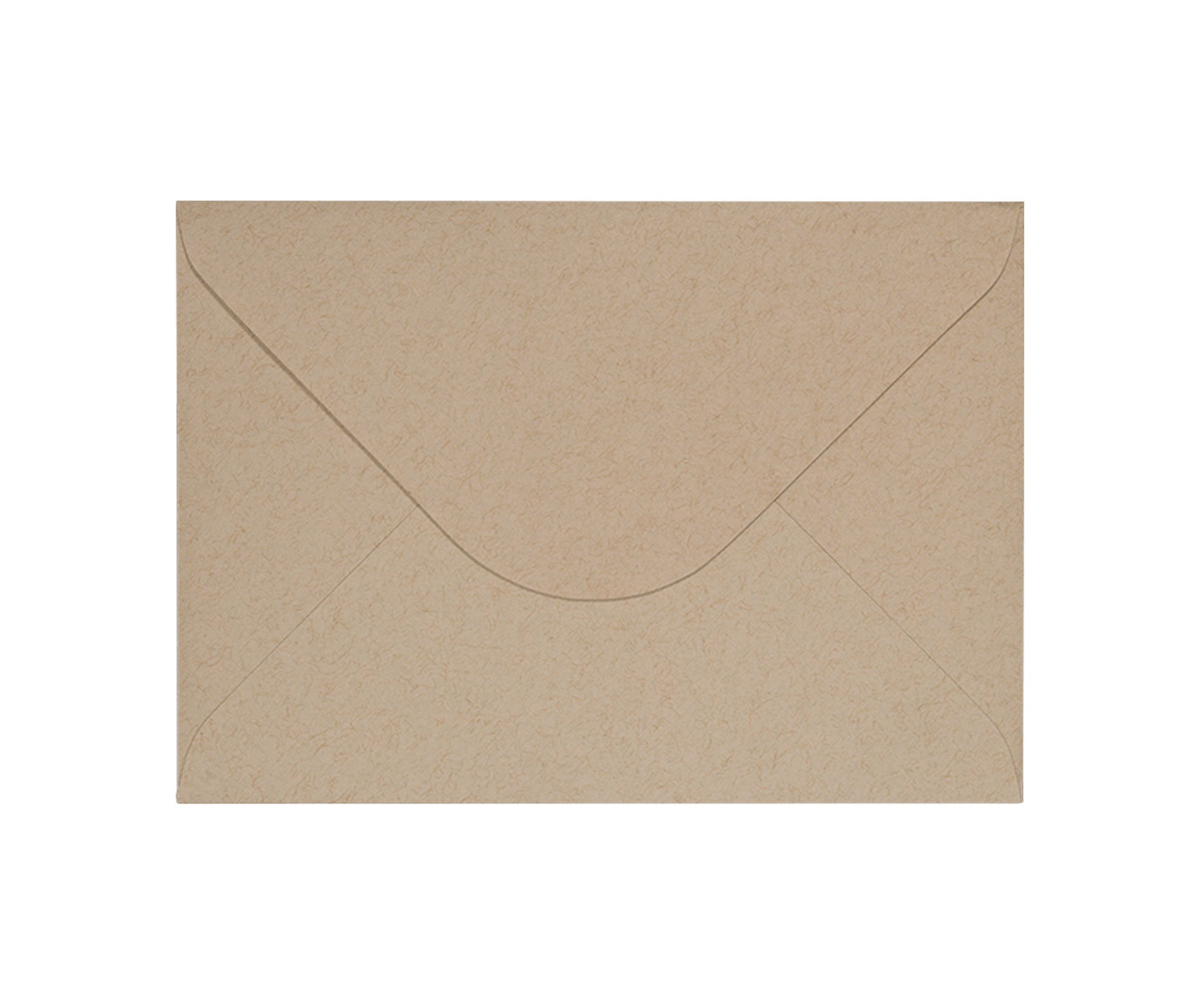 Half Shell Oyster Greeting Card Blank Folded Card - Etsy