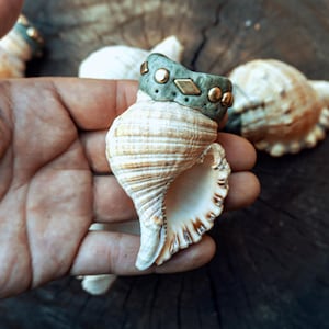 Puede incluir: Una concha marina en espiral de color canela y blanco con una banda texturizada de color verde salvia en la parte superior. La banda está adornada con pequeños tachones dorados metálicos y un acento central en forma de diamante.