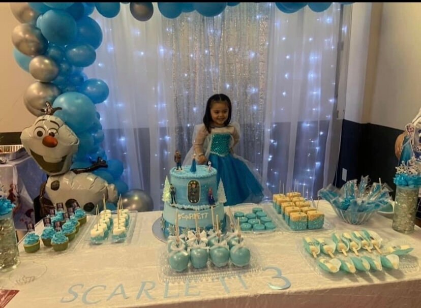 Elsa Dress/ Princess Elsa