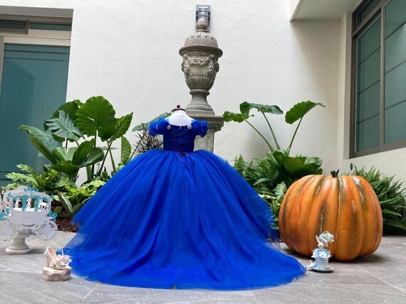 Cinderella dress 4t outlet