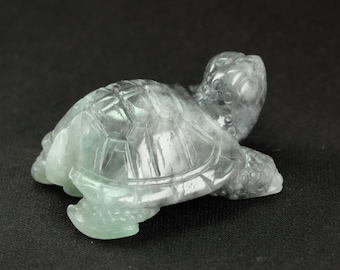Turtle Gray Green Burma Natural Jadeite Jade Display