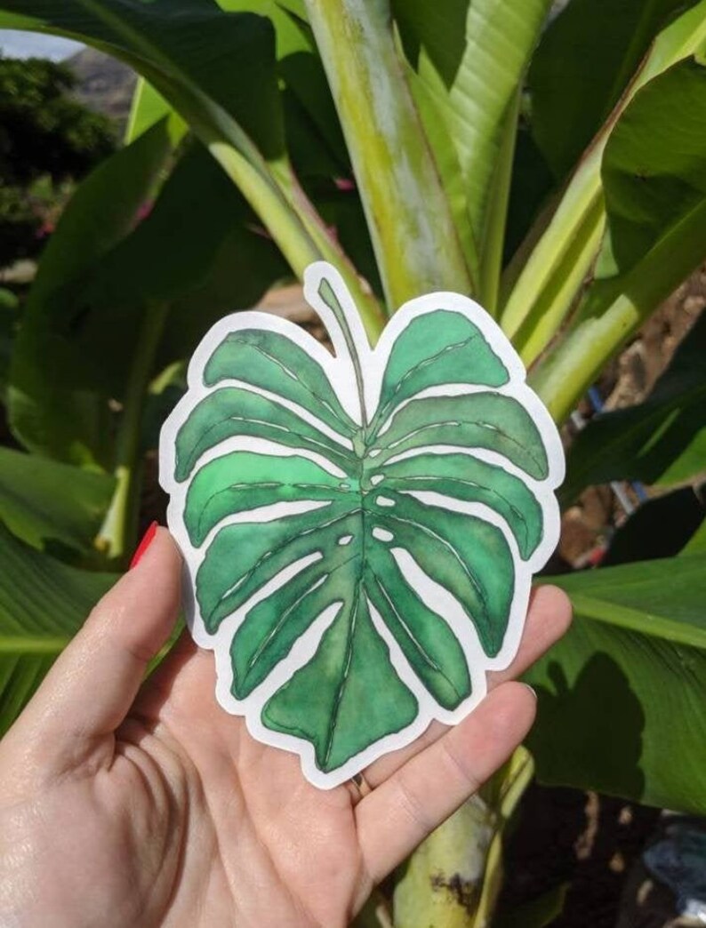 Op de afbeelding: Een groene monstera-bladsticker in aquarel. De sticker is op een witte achtergrond en heeft een licht getextureerd oppervlak.