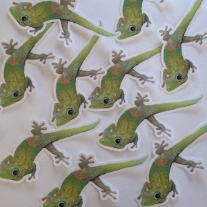 May include: Ten green gecko stickers with white outlines. The geckos are in various poses with their tails curled and their eyes open. The stickers are on a white background.