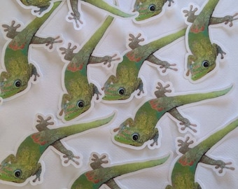 Gecko Sticker - Gecko Decal - Gecko Laptop Sticker - Day Gecko Clear Sticker - Gecko Bumper Sticker - Gecko Art - Tropical