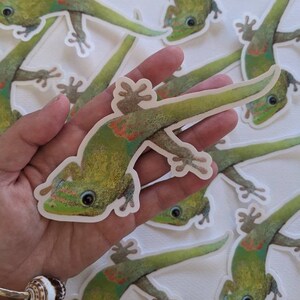 May include: A hand holding a green gecko sticker with orange and red markings. The sticker is on a white background and there are other gecko stickers in the background.