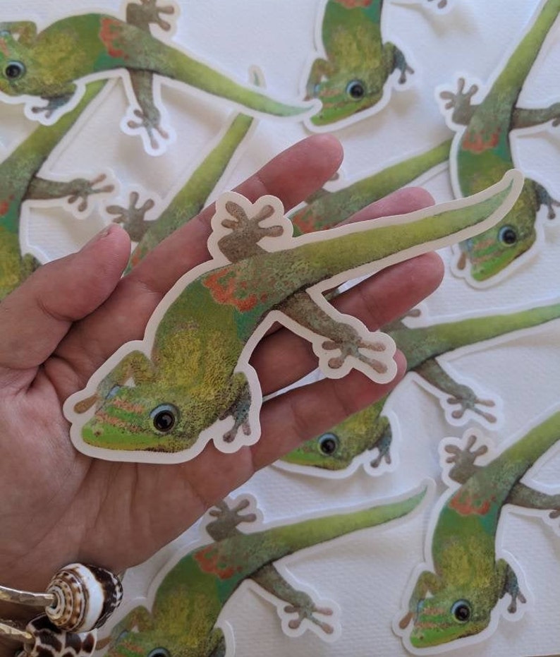 May include: A hand holding a green gecko sticker with orange and red markings. The sticker is on a white background and there are other gecko stickers in the background.