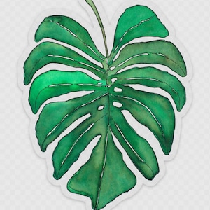 Op de afbeelding: Een enkel groen aquarel blad met een witte omtrek. Het blad heeft een grote centrale ader en verschillende kleinere aderen die er vanaf vertakken.