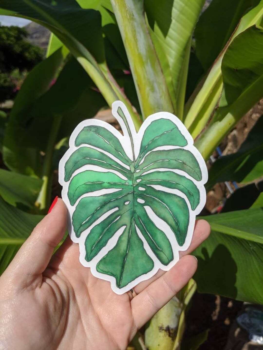 Monstera Sticker Monstera Decal Monstera Laptop Sticker - Etsy