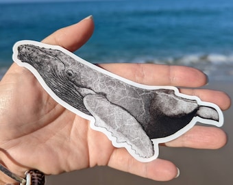 Humpback Whale Sticker - Decal - Laptop Sticker -  Bumper Sticker - Ocean Sticker - Dotwork