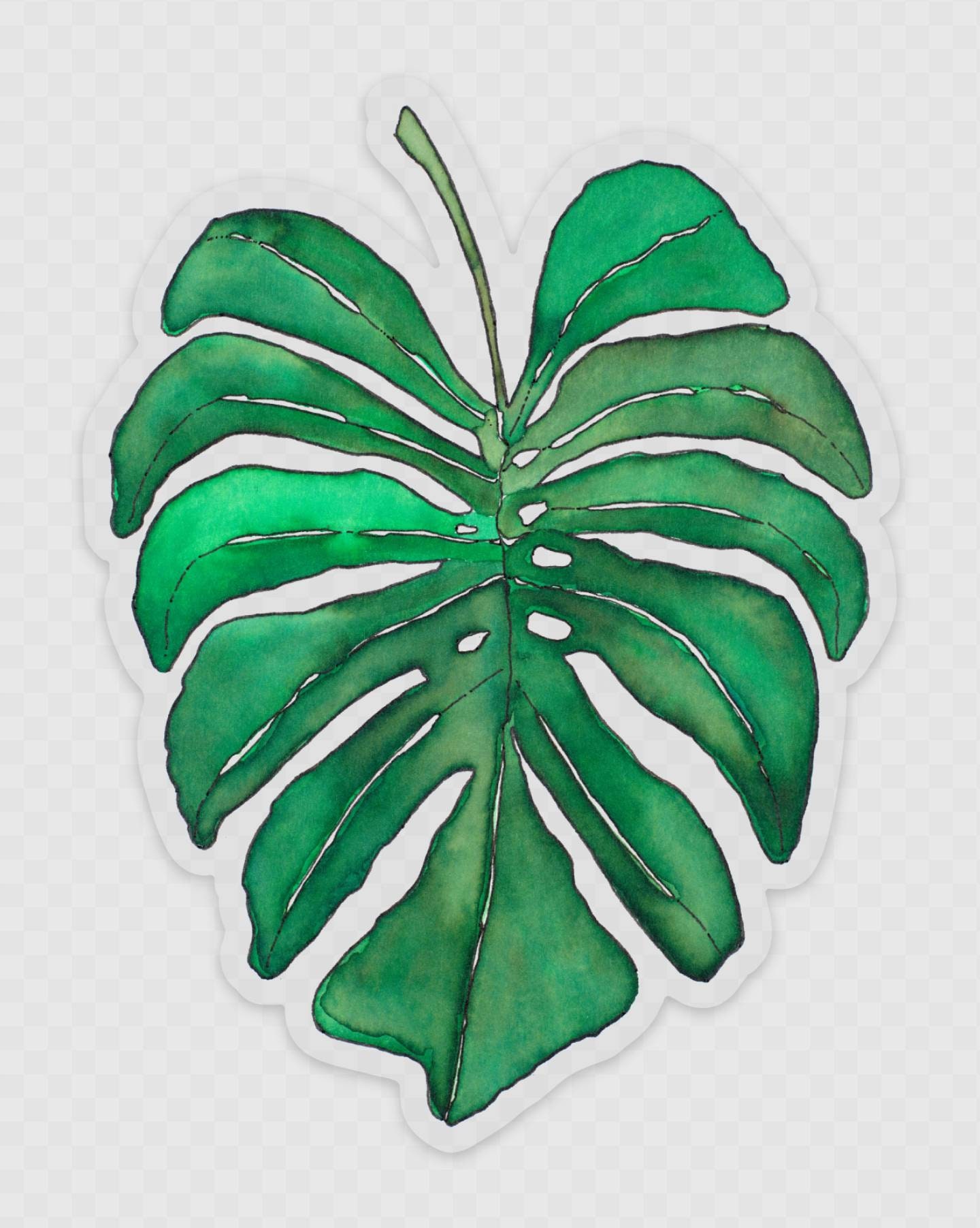 Monstera Sticker Monstera Decal Monstera Laptop Sticker - Etsy