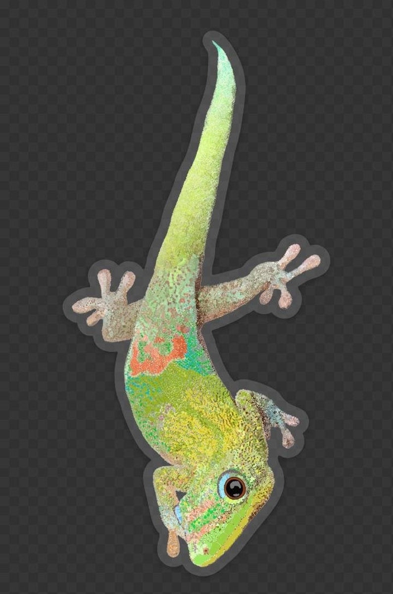 May include: A green gecko with orange and blue markings, hanging upside down with its tail curled up.