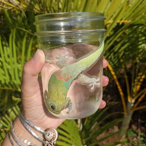 May include: A clear glass mason jar with a green gecko sticker on the side. The jar is filled with water and is being held by a hand wearing silver bracelets with seashells.