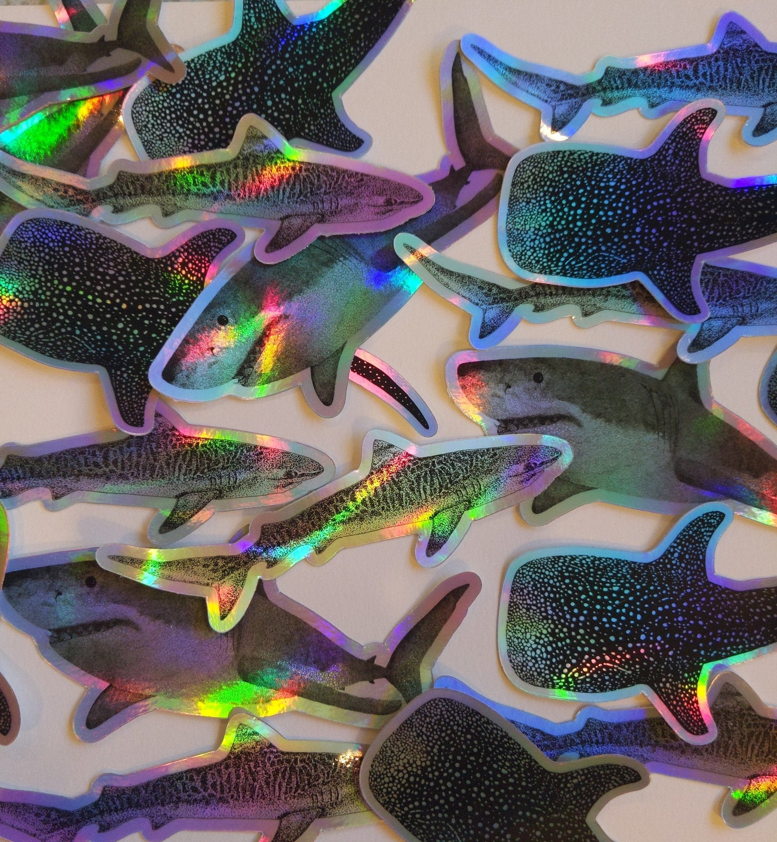 Holographic Shark Sticker Pack Great White Shark Sticker Etsy