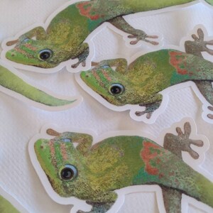 May include: Four green gecko stickers with orange and blue accents. The geckos are in various poses with their tails curled and their eyes open.