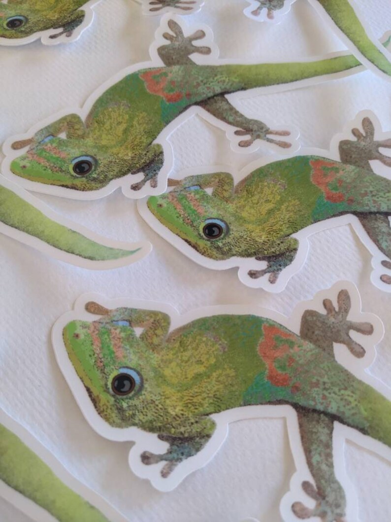 May include: Four green gecko stickers with orange and blue accents. The geckos are in various poses with their tails curled and their eyes open.