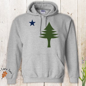 Pu&ograve; includere: Una felpa con cappuccio grigia con una stella blu e un design di pino verde. La felpa ha una tasca sul davanti e il testo "Oak Lane Tees" &egrave; stampato sulla manica sinistra.