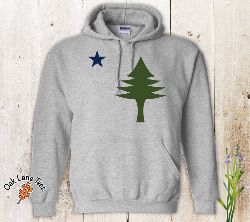 Pu&ograve; includere: Una felpa con cappuccio grigia con una stella blu e un design di pino verde. La felpa ha una tasca sul davanti e il testo "Oak Lane Tees" &egrave; stampato sulla manica sinistra.