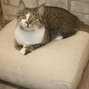 Organic and washable pet bed with removable blanket.linen bed for cats Dog bed made of hemp Removable cover Eco-friendly soft pet beds